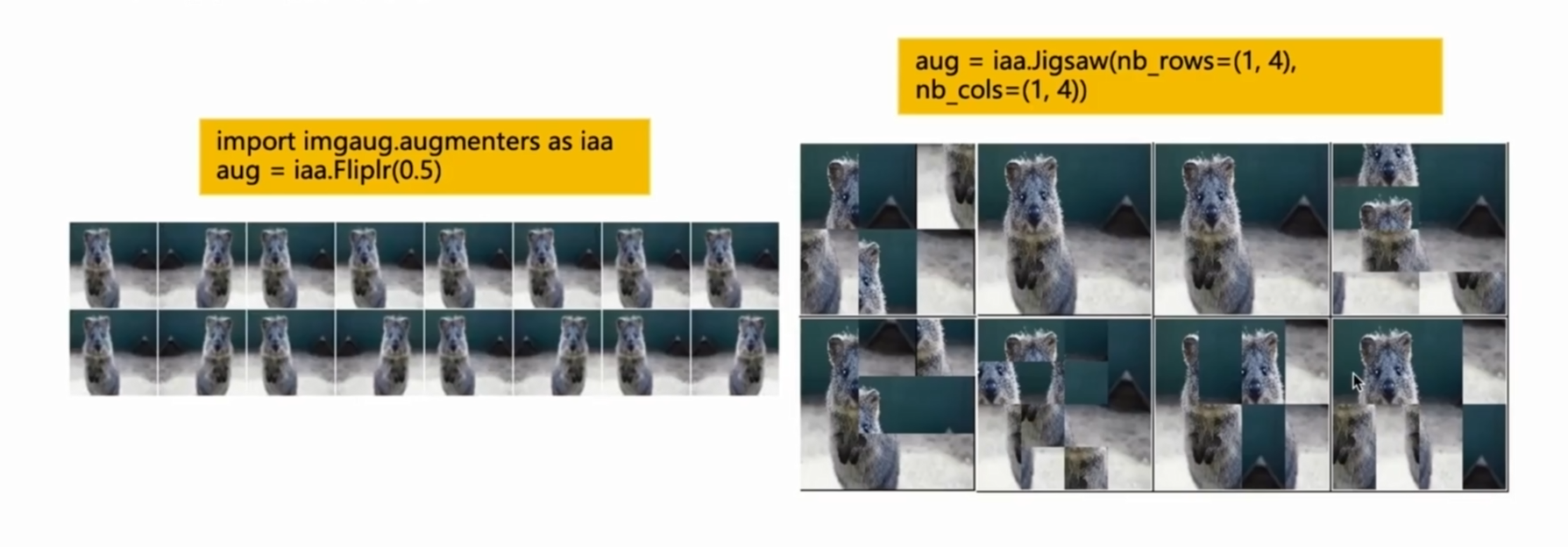 image-20260104162547679