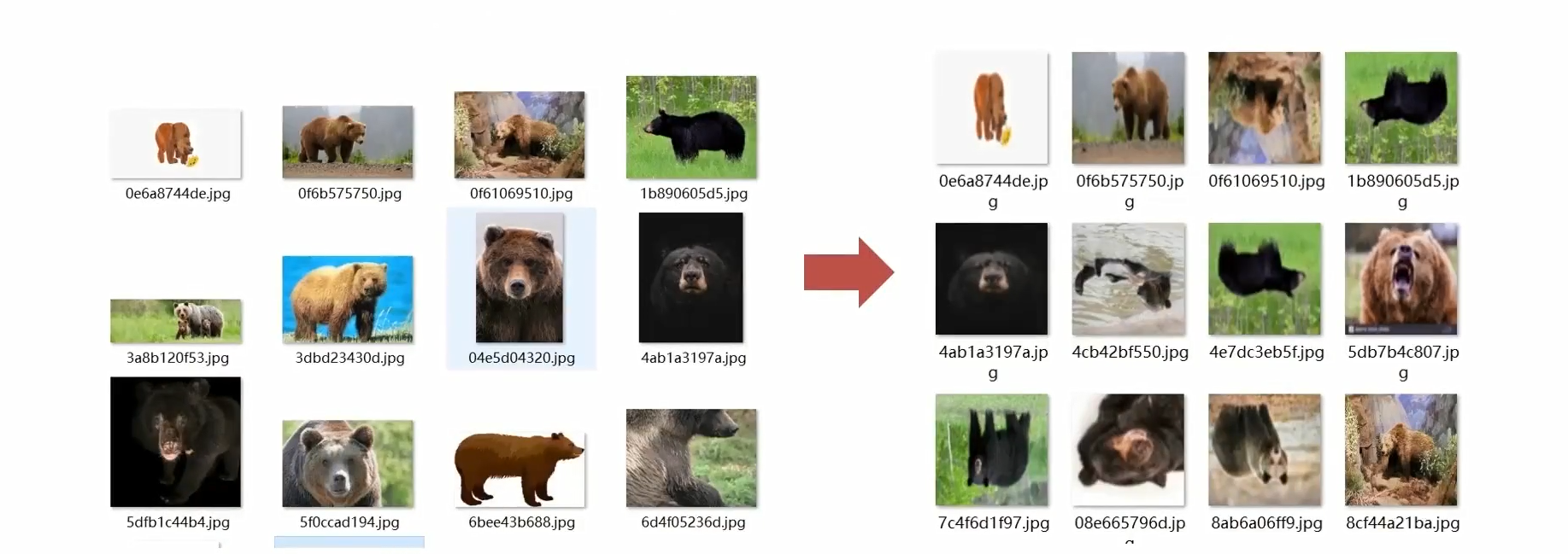 image-20260107134249003